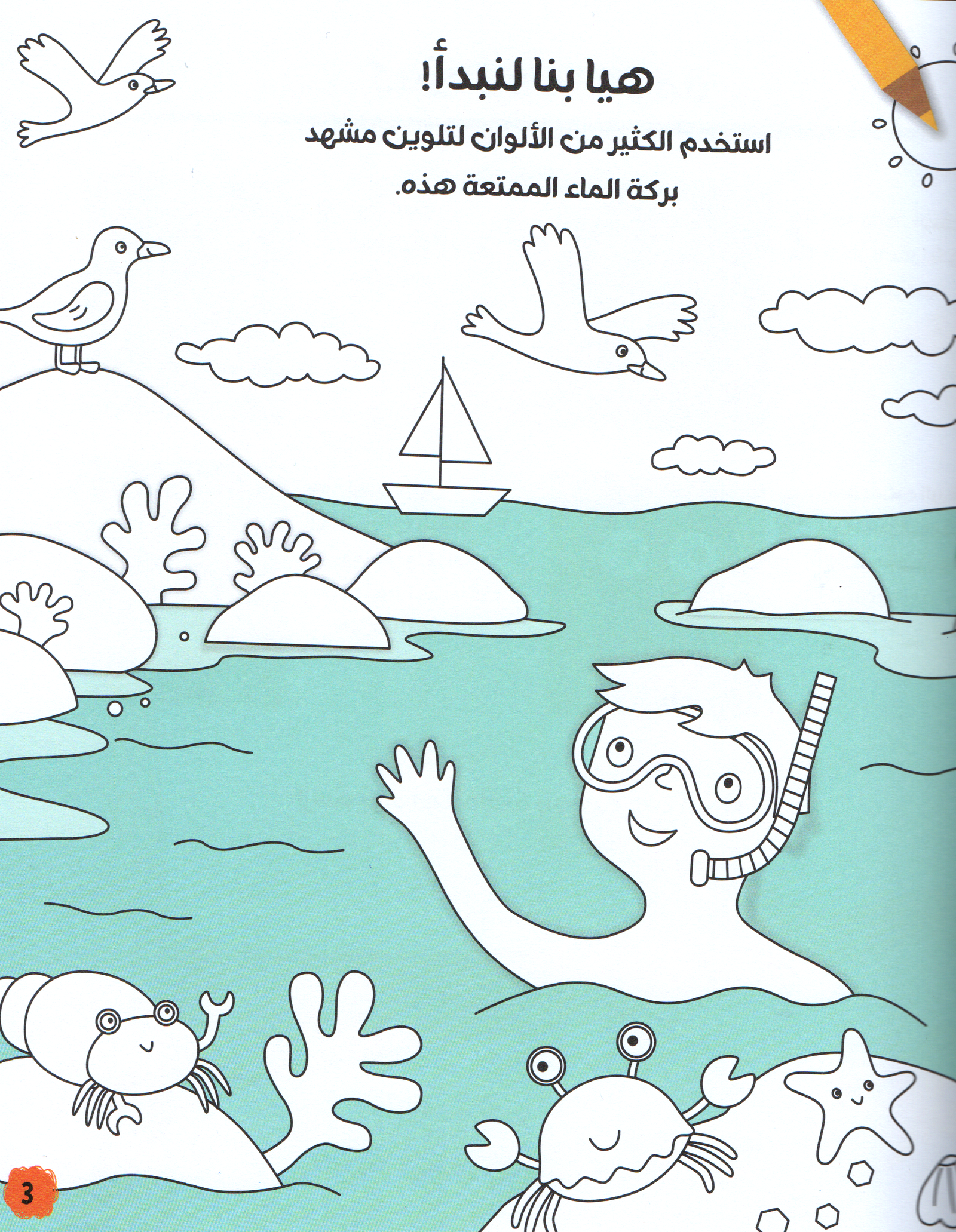 كتابي الأول عن الرسم و التلوين